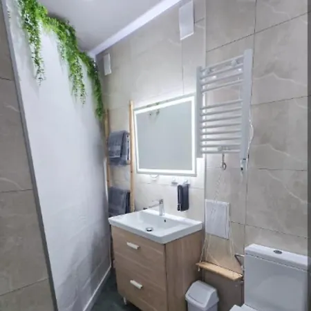 公寓 Duplex 63m2 Au Coeur De 萨维尔纳