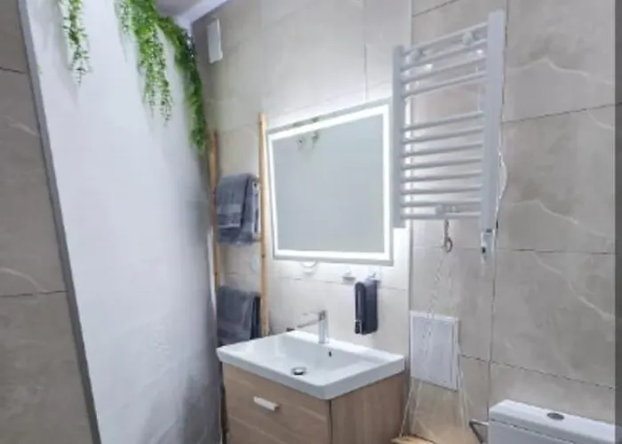 Apartment Duplex 63m2 Au Coeur De Saverne